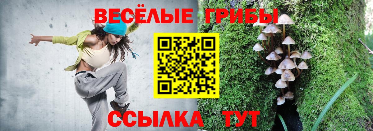 Псилоцибиновые грибы Psilocybine cubensis  Вход с VPN  Нижневартовск  цены   Галлюциногенные грибы Cubensis 